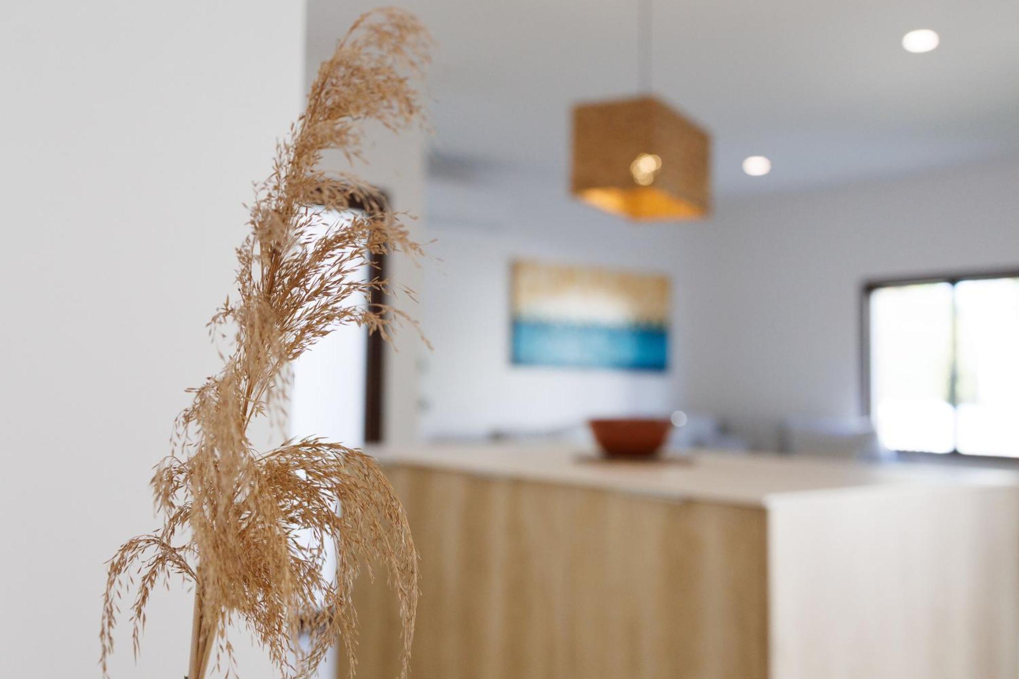 Villa Can Ordinas Alcudia  Dış mekan fotoğraf