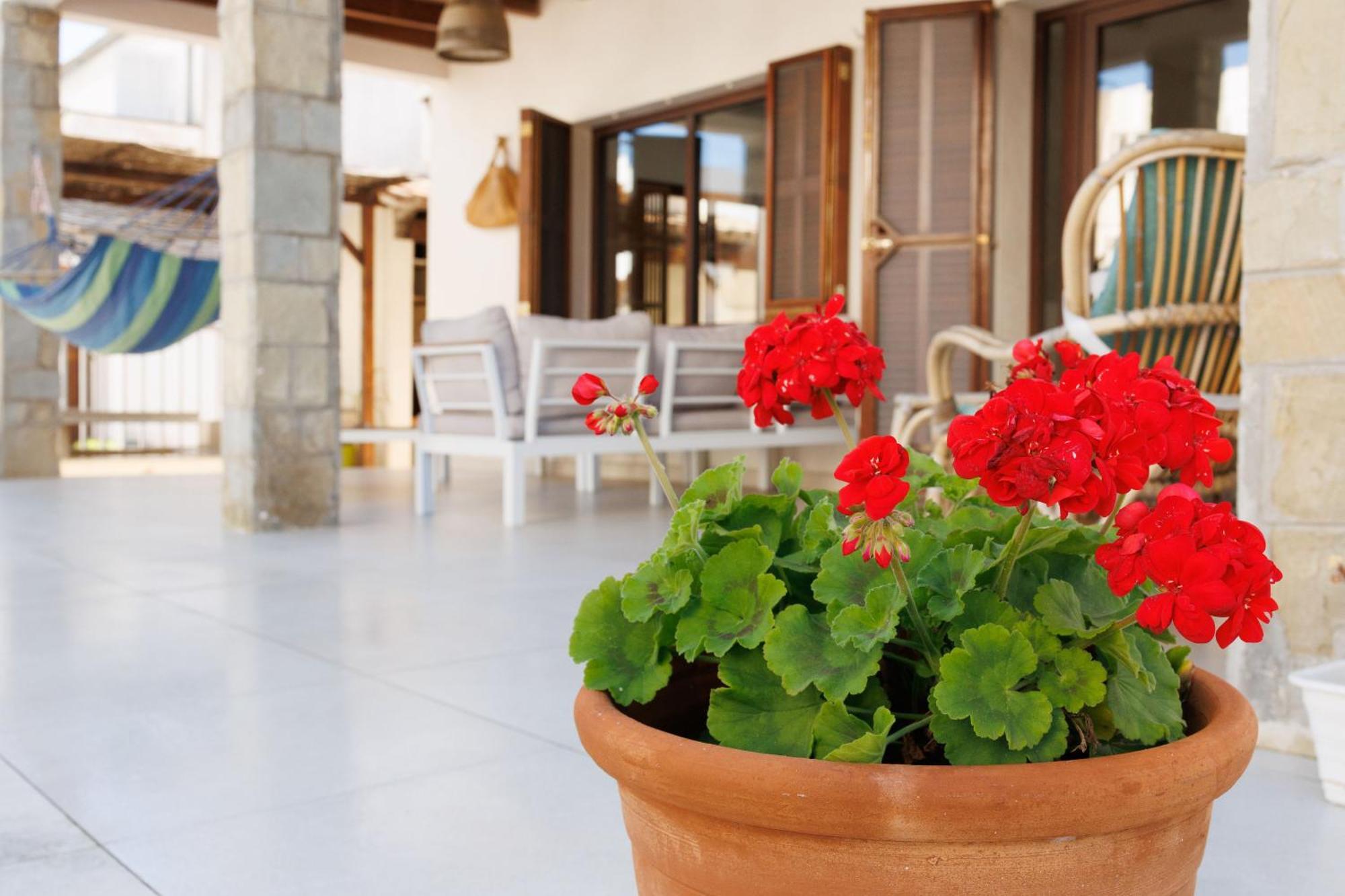 Villa Can Ordinas Alcudia  Dış mekan fotoğraf